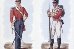 Berry Head Soldiers early 1800's.