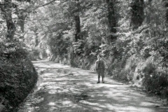 Leafy lane circa 1900.