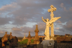 Evening in the cemetery - photo Julian Fisher.