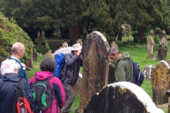 Our project 'Wildlife' walk in St Mary's church yard.